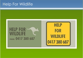 Help for wildlife